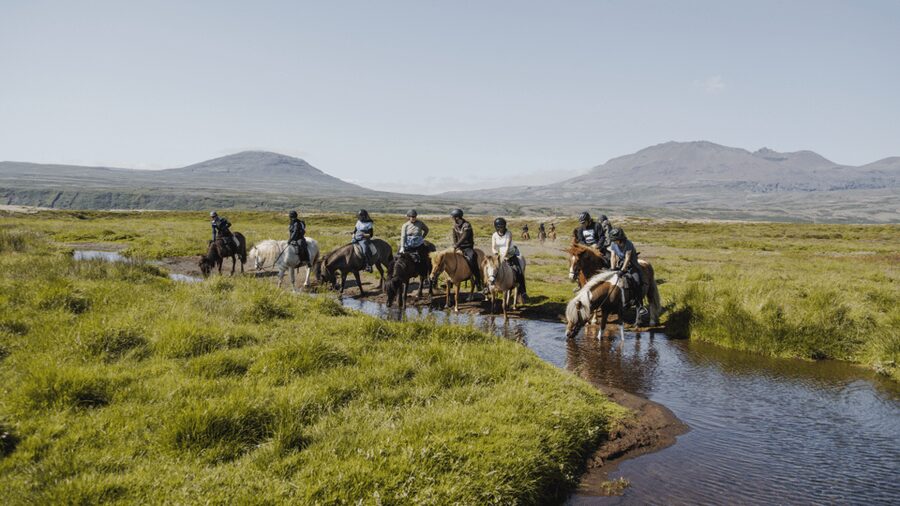 Borgarnes: Horseback Riding Tour with Prep Lesson - Meeting your horse at Hestaland