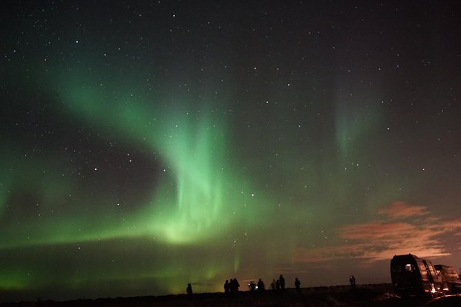 Chasing Aurora Borealis with Warmth and Treats in Premium Tour! - Hot chocolate and Icelandic pastries
