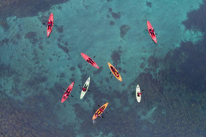 Classic Kayaking Adventure by Mt. Kirkjufell - Guides who shape the experience