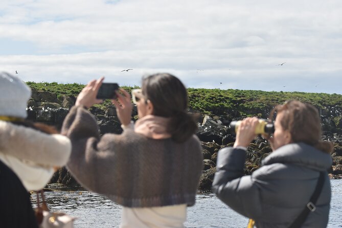 Classic Puffin Watching Cruise from Downtown Reykjavík - Reykjavík from the water