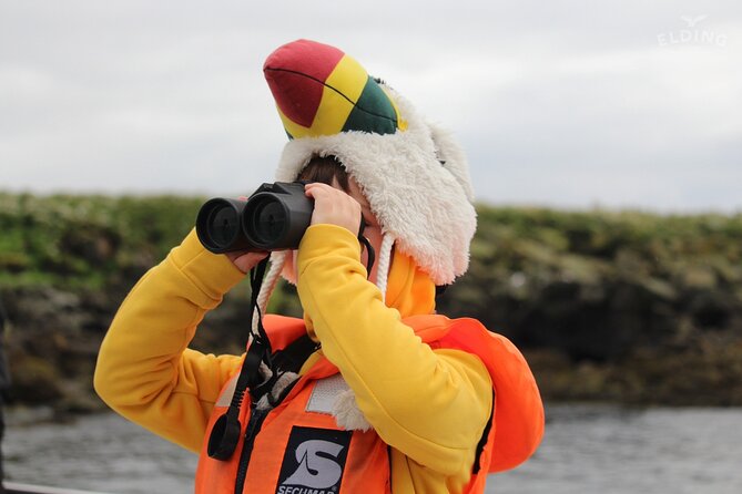 Classic Puffin Watching Cruise from Downtown Reykjavík - Price and what your $60 buys