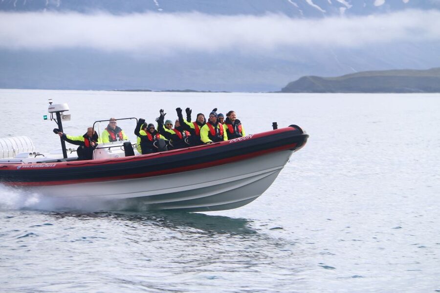 Dalvík: Whale Watching Speedboat Tour - Why the RIB ride changes the experience