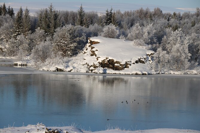 Day Trip to Lake Mývatn And The Nature Baths from Akureyri - Dimmuborgir and the dark lava formations