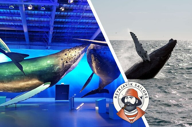 Deluxe Whale Watching and Whales of Iceland Exhibition Combo from Reykjavik - Should you book this tour?