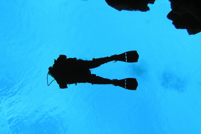 Dive the Divide: Silfra Fissure Scuba Tour | Meet at Thingvellir - Why Silfra is more than a cold-water stunt