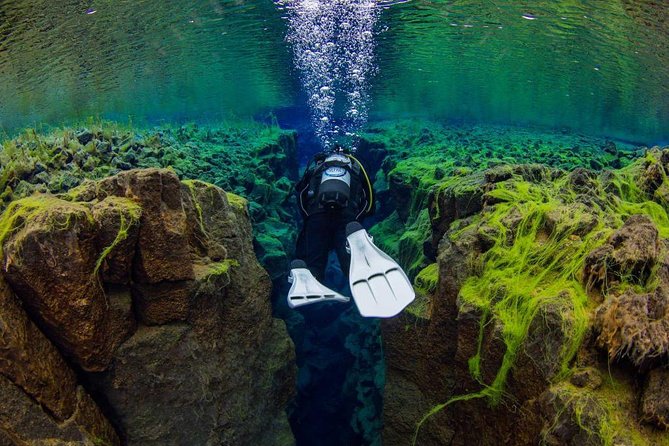 Dive the Divide: Silfra Fissure Scuba Tour | Reykjavik Pickup - Why Silfra is worth the effort