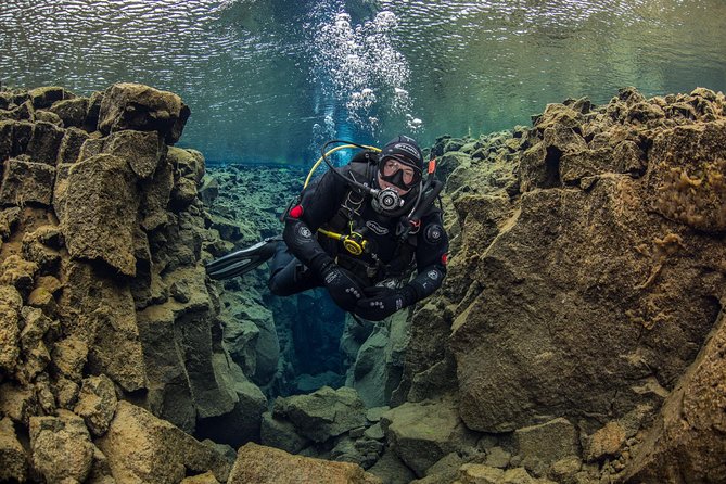 Dive the Divide: Silfra Fissure Scuba Tour | Reykjavik Pickup - Who should book this Silfra outing
