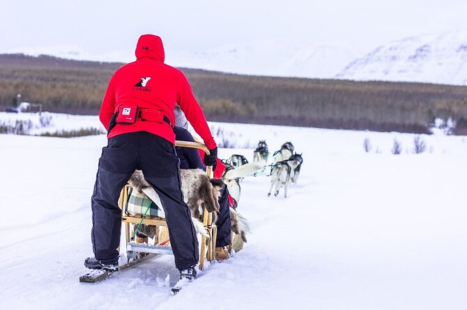 Dog Sledding Tour near Akureyri - Is this private husky tour worth booking?