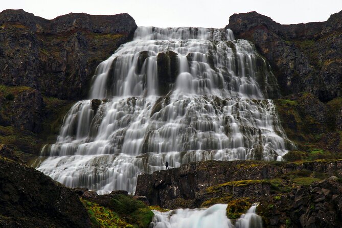 Dynjandi Waterfall & Iceland Farm Visit Tour - Is $149 a fair price?