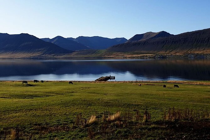 Dynjandi Waterfall & Iceland Farm Visit Tour - Who will enjoy this tour most?