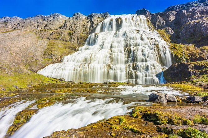 Dynjandi Waterfall & Iceland Farm Visit Tour - Should you book the Dynjandi and farm tour?