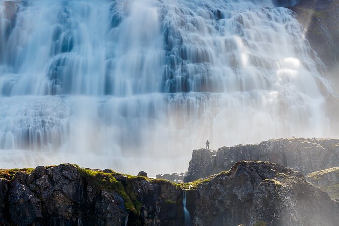 Dynjandi Waterfall & Iceland Farm Visit Tour - How the group size affects the day