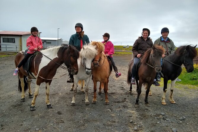 Experience Countryside of Iceland by Horseback Riding - Feeling the tölt