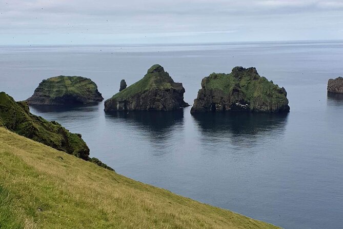 Eyjascooter volcano tour in Westman Island - Who will enjoy this ride most
