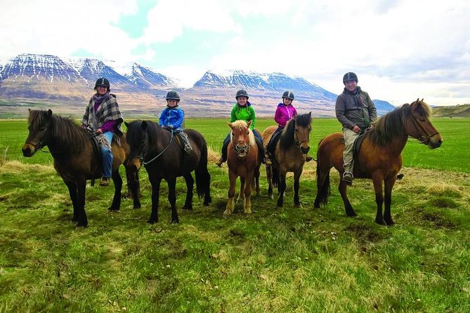 Family Friendly Horse Riding Tour in Skagafjörður - Key points before you saddle up