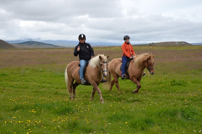 Family Friendly Horse Riding Tour in Skagafjörður - A river ride through Skagafjörður