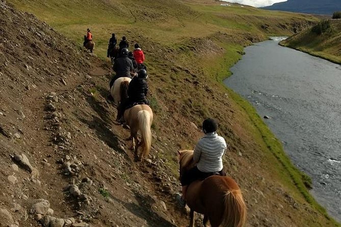 Family Friendly Horse Riding Tour in Skagafjörður - Why the small group matters