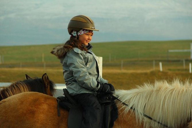 Family Friendly Horse Riding Tour in Skagafjörður - A good fit for families and first-time riders