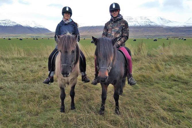 Family Friendly Horse Riding Tour in Skagafjörður - Icelandic weather and what to wear
