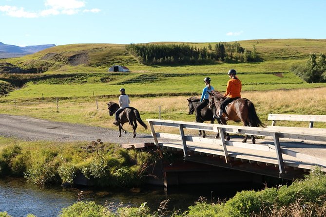 Family Friendly Horse Riding Tour in Skagafjörður - Price and the value of the extras