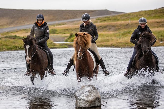 Family Friendly Horse Riding Tour in Skagafjörður - What riding an Icelandic horse feels like