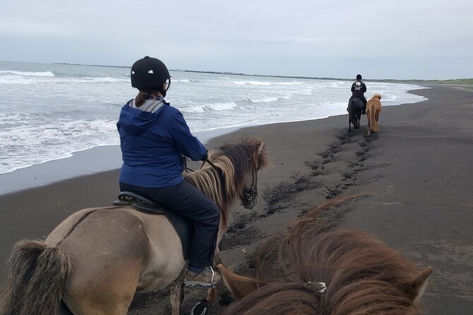 Family Horse Riding Tour in Thorlakshofn - A route toward Krýsuvík’s lava fields