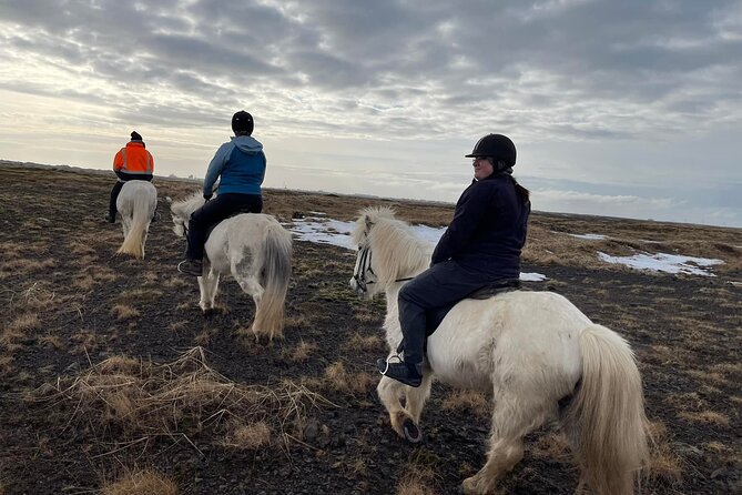 Family Horse Riding Tour in Thorlakshofn - Returning to base after the café stop