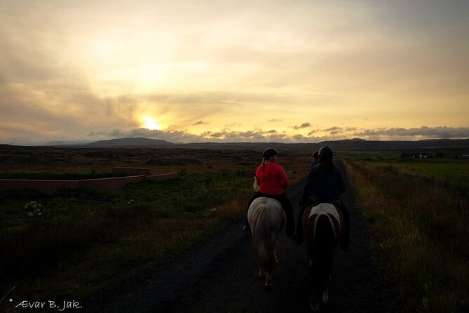 Family Horse Riding Tour in Thorlakshofn - Geothermal views without a separate hot-spring stop