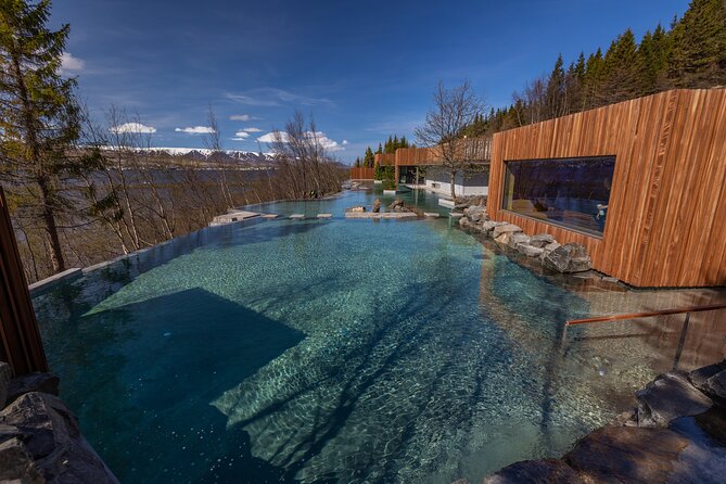 Forest Lagoon and Northern Lights Guided Night Tour - What the guide adds to the evening