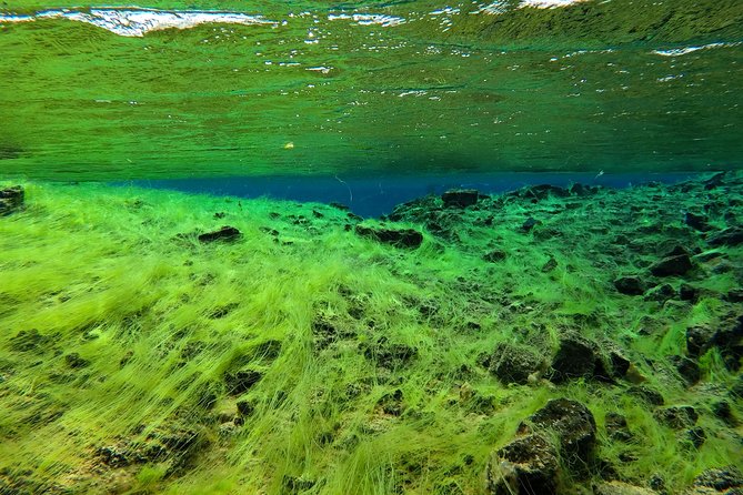 Freedive Silfra Half Day Tour - The wetsuit and cold-water reality
