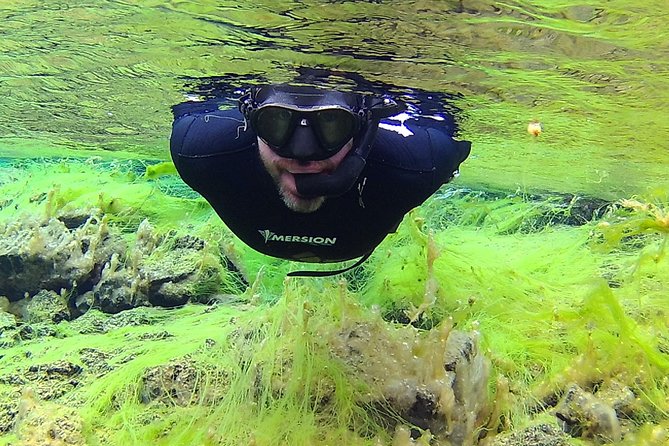 Freedive Silfra Half Day Tour - The guide support after the water