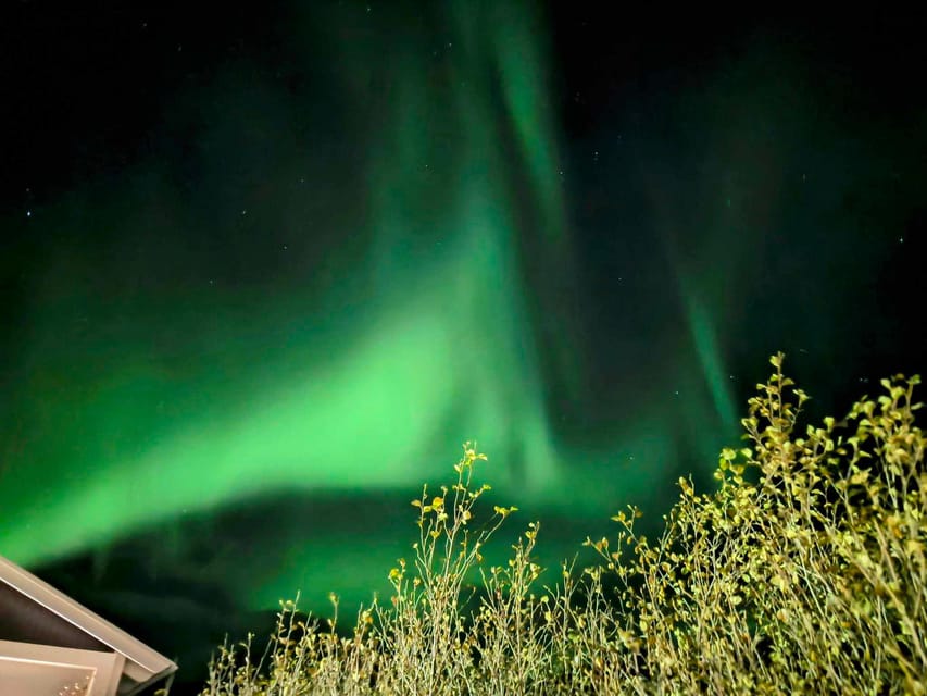 From Akureyri: Northern Lights Tour - Who will enjoy this Akureyri outing?