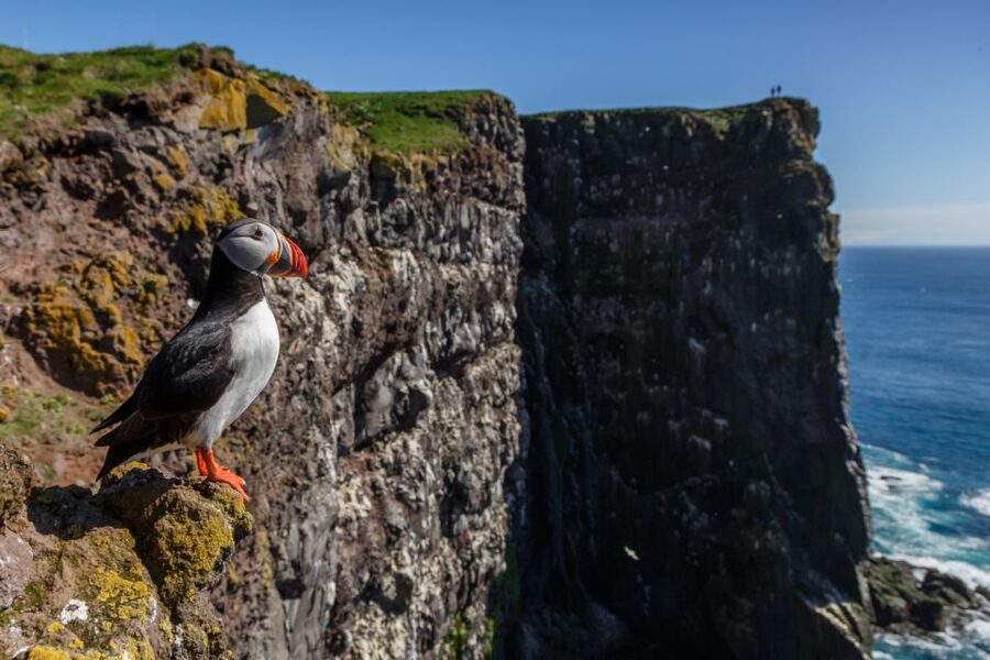 From Reykjavík: 3-Day Tour of the Wild Westfjords - Day three, Bolafjall and the Seven Fjord Road