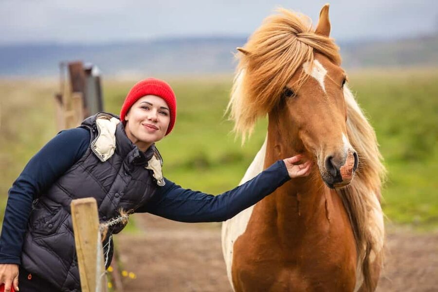 From Reykjavík: Best of Iceland 6-Day Stopover Tour - Day one: arrive and get your bearings