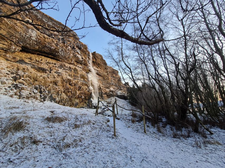 From Reykjavik: Explore the Waterfalls of the South Coast - Thorsteins Grove and Gluggafoss