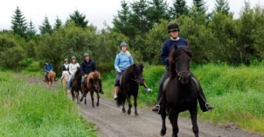 From Reykjavik: Full-Day Horse Riding & Golden Circle Tour - A morning in the saddle at Laxnes Horse Farm
