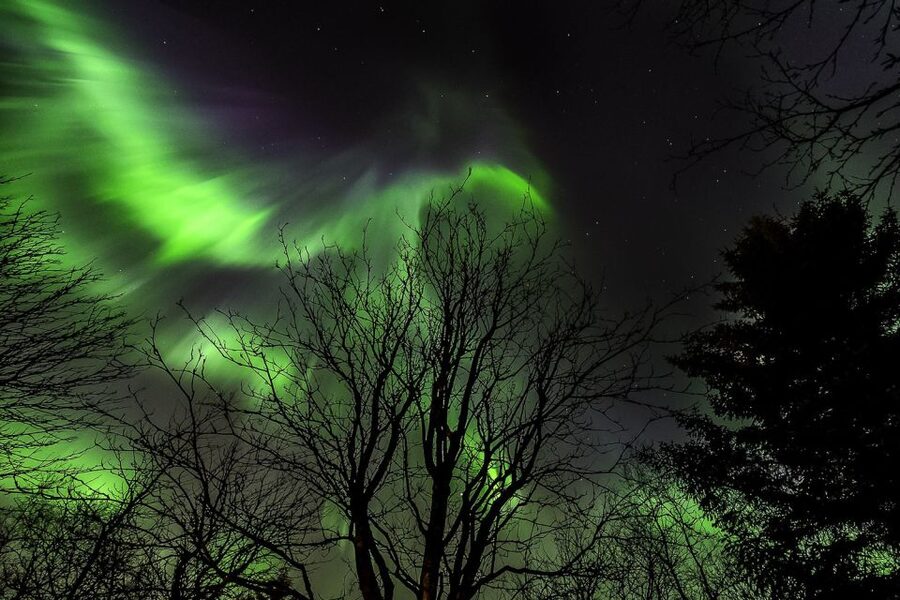 From Reykjavik: Golden Circle and Northern Lights Tour - The coach ride is part of the experience
