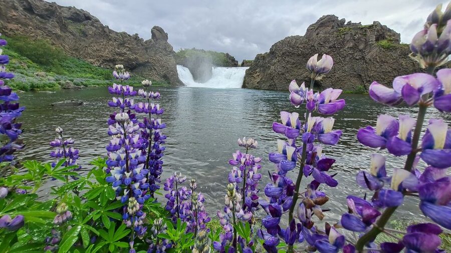 From Reykjavik: Highlands Jeep Tour & Landmannalaugar Hike - Ljótipollur is an ugly puddle worth seeing