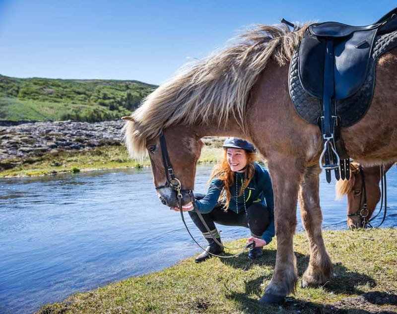 From Reykjavík: Icelandic Horse Riding Tour in Lava Fields - Key points at a glance