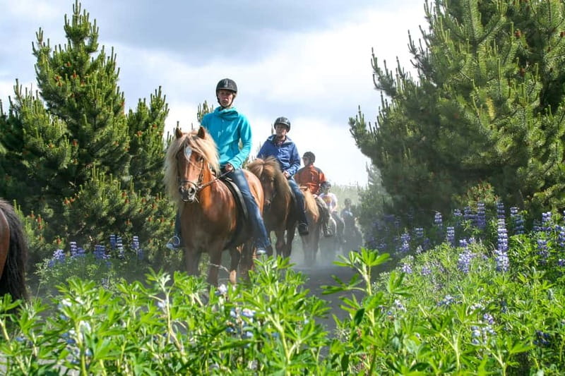 From Reykjavík: Icelandic Horse Riding Tour in Lava Fields - Getting ready with boots, helmets, and warm layers