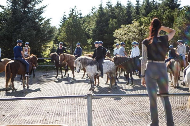 From Reykjavík: Icelandic Horse Riding Tour in Lava Fields - Crossing lava fields for 1.5 hours