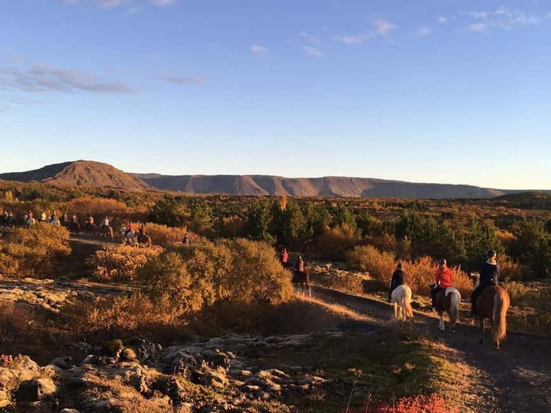 From Reykjavík: Icelandic Horse Riding Tour in Lava Fields - How the price works out at $141
