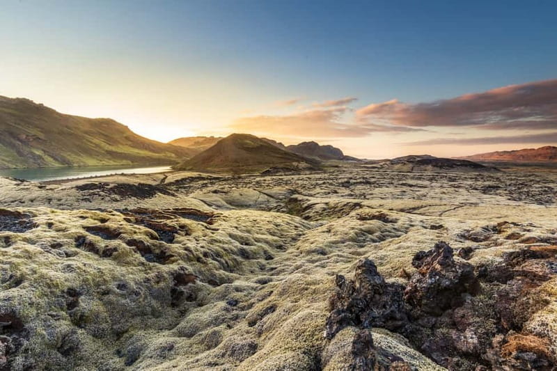From Reykjavík: Icelandic Horse Riding Tour in Lava Fields - Booking details worth knowing