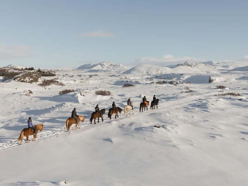 From Reykjavík: Icelandic Horse Riding Tour in Lava Fields - From Reykjavík pickup to the Íshestar yard
