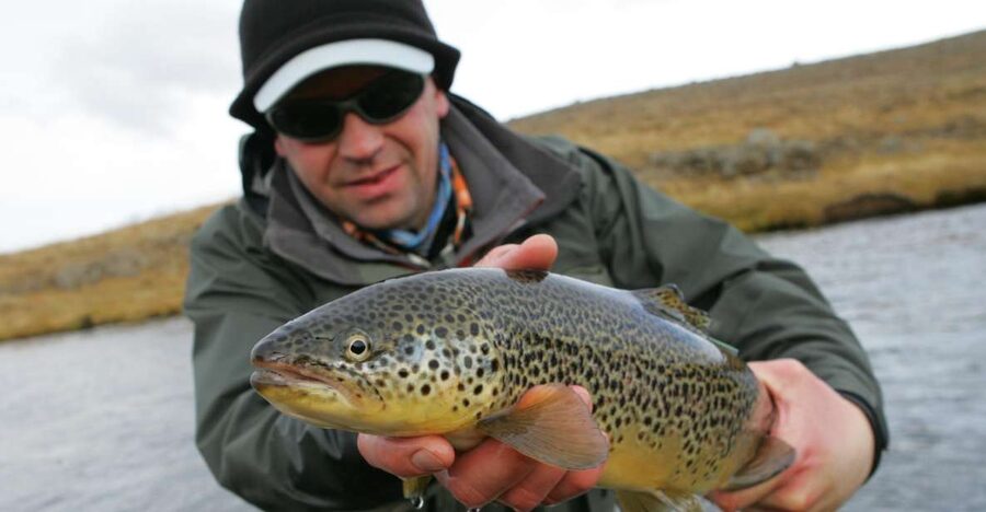 From Reykjavik: Lake and River Fishing Tour - Five to six hours after brown trout and Arctic char