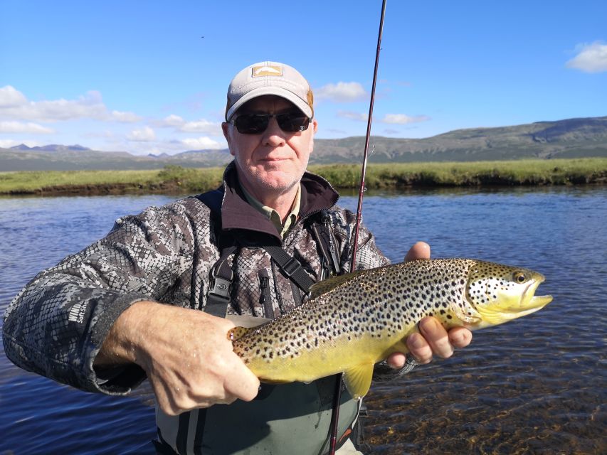 From Reykjavik: Lake and River Fishing Tour - What the private format adds