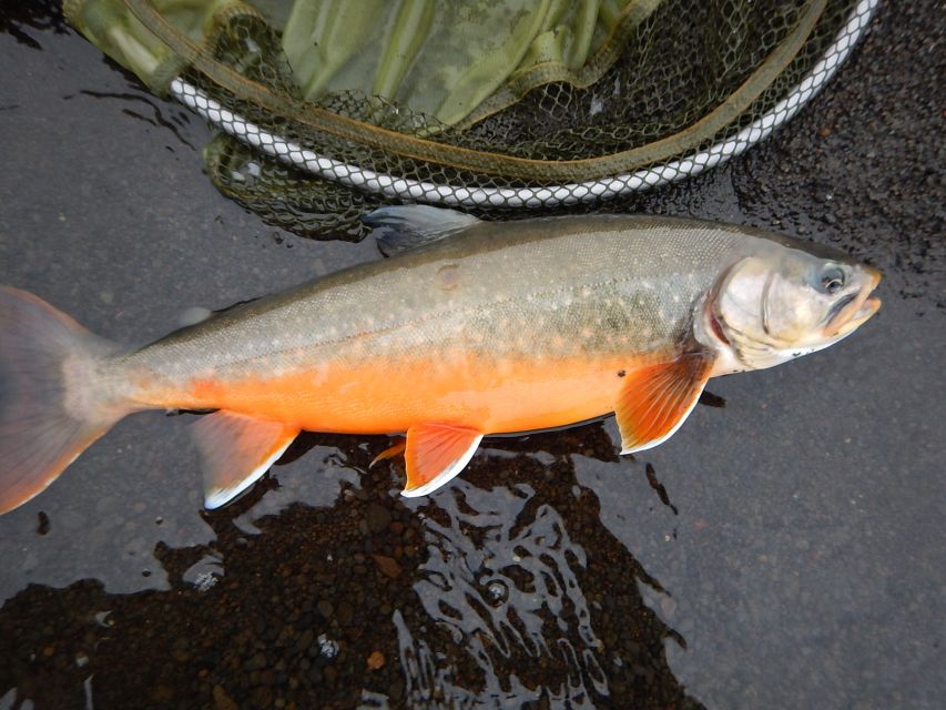 From Reykjavik: Lake and River Fishing Tour - Picking the right fishing method