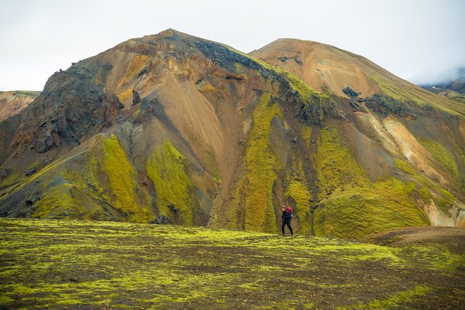 From Reykjavík: Landmannalaugar Hiking Day Tour - Who should book this hike?