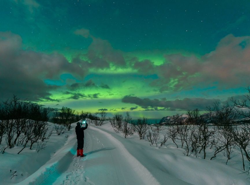 From Reykjavik: Northern Lights Chase with Expert Guide - Who will enjoy this Reykjavik aurora chase?