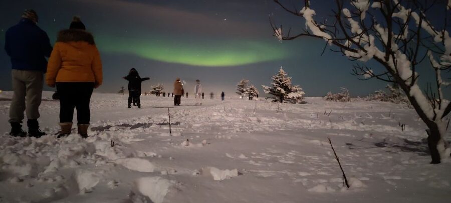 From Reykjavik: Northern Lights Chase with Expert Guide - What the night usually feels like